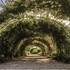 JARDIN BOTANIQUE DE MARNAY SUR SEINE - Image 4