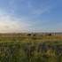 Randonnée commentée : La petite Camargue marignanaise