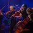 Quatuor à cordes Grazioso - Concerts privés, animations raffinées de mariage & cérémonie - Image 4