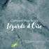 Lézards d'Oise - Groupe de pop/rock - Image 3