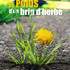 Isabelle Bouchex, conteuse - "Le poids d'un brin d'herbe", spectacle tous publics