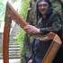 Christophe GUILLEMOT joue et fabrique ses harpes celtiques   - Image 4