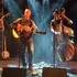 The Roosters Social Club - Concerts folk, country, bluegrass - Image 3