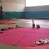 Cours de cirque Royat