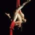 Acrobates Aériens - Artistes de Cirques