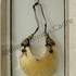 ATELIER Domina Cadre - Cours d'encadrement d'art, cartonnage - Image 6