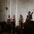 Quatuor à cordes Grazioso - Concerts privés, animations raffinées de mariage & cérémonie - Image 5