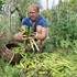 Conférence : Un potager pour nourrir sa famille