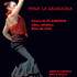 CSMS FLAMENCO - Cours de Flamenco traditionnel et bata de Cola