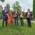 Baraka Swing - En plein dans le Swing ! - Image 2