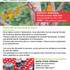 Florianne Vuillamy - Cours de peinture - Adultes