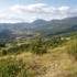 Stages Musique et Nature - Image 5