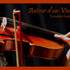  Animation autour du violon