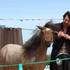 LES PONEYS DU PORFESSEUR DELEITO