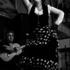Flamenco Avignon 