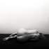 Franck OLIVAS  Photographe dans le thème du nu artistique ...  - Image 6