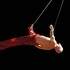 Stéphane - Acrobate aérien - artiste de cirque - sangles, tissu, drapé, duo