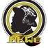 AKWE - Auteur compositeur interprète nigérian solo duo trio quartet