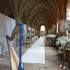 Harp Events Paris - Harpistes, chanteuses  et musiciennes - Image 15