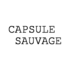 Capsule Sauvage - Cherche dates pour concert