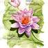 Créasentiel  - Cours de DESSIN (individuel) , INFOGRAPHIE, Arts Appliqués DESIGN - Image 8