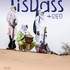 TisDAss - Amanar tour 2022