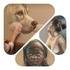 Artiste cherche modèles féminins (région toulousaine) - Image 2
