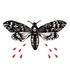 Laetitia Lopez Ti-iT - GRAPHISME & DESSIN