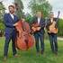 Baraka Swing - En plein dans le Swing ! - Image 3