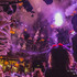 Les 10 ans du Le Bal des Vampires – photo 3