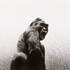 Exposition Bestiaire
