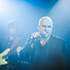 ROCK OF FAME  - Groupe de reprises Rock & Pop 