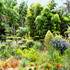 Jardin les Bambous de Planbuisson