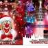 Le cirque de noel - Spectacle acrobatique et féerique 