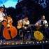 Swing & Jazz 45 - Plusieurs groupes: Swing Manouche, New-Orleans, Jazz, Rock - Image 2