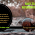 Naturopathie Africaine - ATELIER NATUROPATHIE