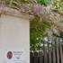 Atelier ARTmelle - Cours de peinture - Ateliers d'art-thérapie - Image 3