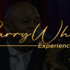 Barrywhite Experience.Paris -  Disponible Pour Vos Events