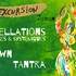 Stage Excursion : Constellations Systémiques, Clown & Tantra