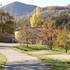 Stages Musique et Nature - Image 7