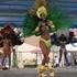 Brésil en Fête - Spectacle-Animation - Image 3