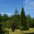 Arboretum de la Ferté Vidame