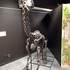 Michel Fontaine - Stages de dessin, peintures, sculptures 2D et 3D - Image 9