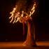 Gwam Art - Compagnie de spectacles et arts visuels - Image 21