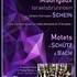 "Motets de SCHÜTZ, BACH et Madrigaux de SCHEIN "