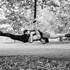 ACROBATE CIRCUS - Compagnie Acrobate-Circus.