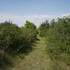 L’Espace Naturel Sensible Pelouse de Grand Vau