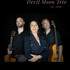 Devil Moon Trio - jazz chanté swing manouche Blues ...