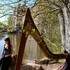 LAWENA de Brocéliande harpe celtique & chants traditionnels - Image 3