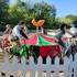 Le manège écochenille - Le manège à sensations écolo pour les ados ! - Image 5
